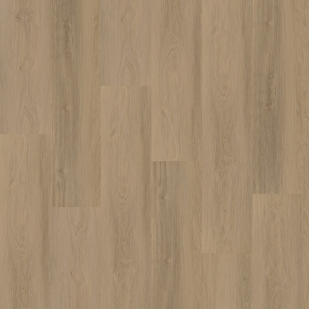 Hoomline Briljant Tulp 20017 Dryback - Plak PVC Vloer in Rechte Plank