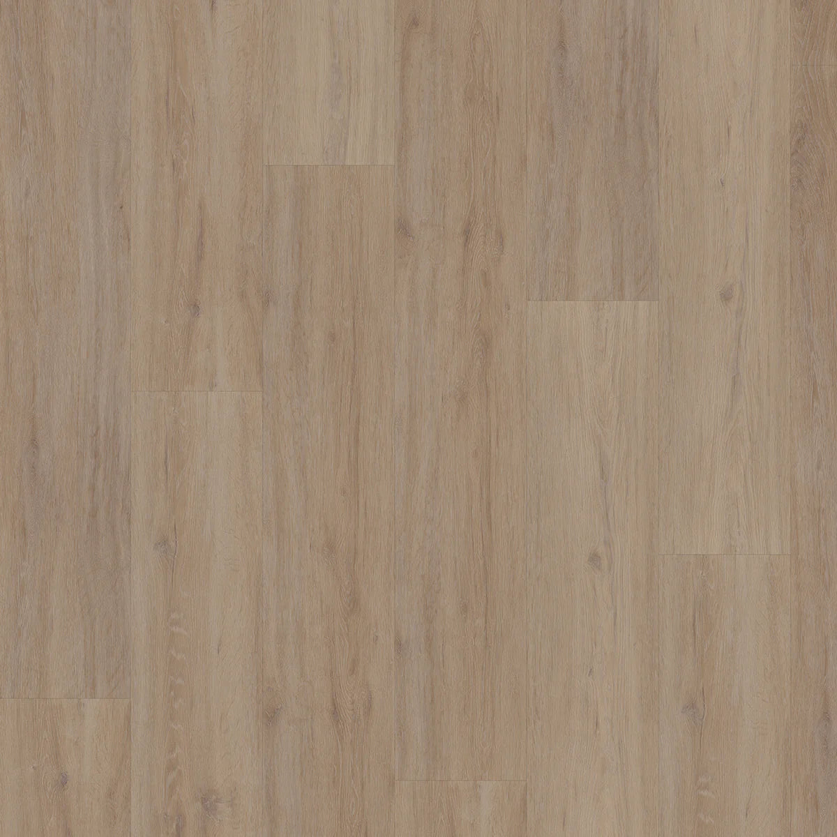 Hoomline Fusion Superior XL Gotham Oak Oiled Dryback - Plak PVC Vloer in Rechte Plank