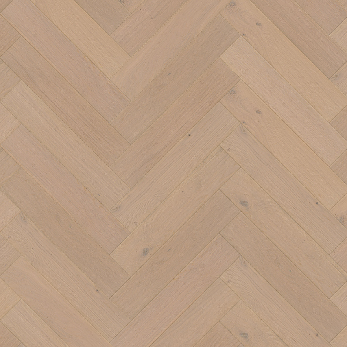 Hoomline Metropole Oslo Visgraat Wit Geolied - Visgraat Lamelparket