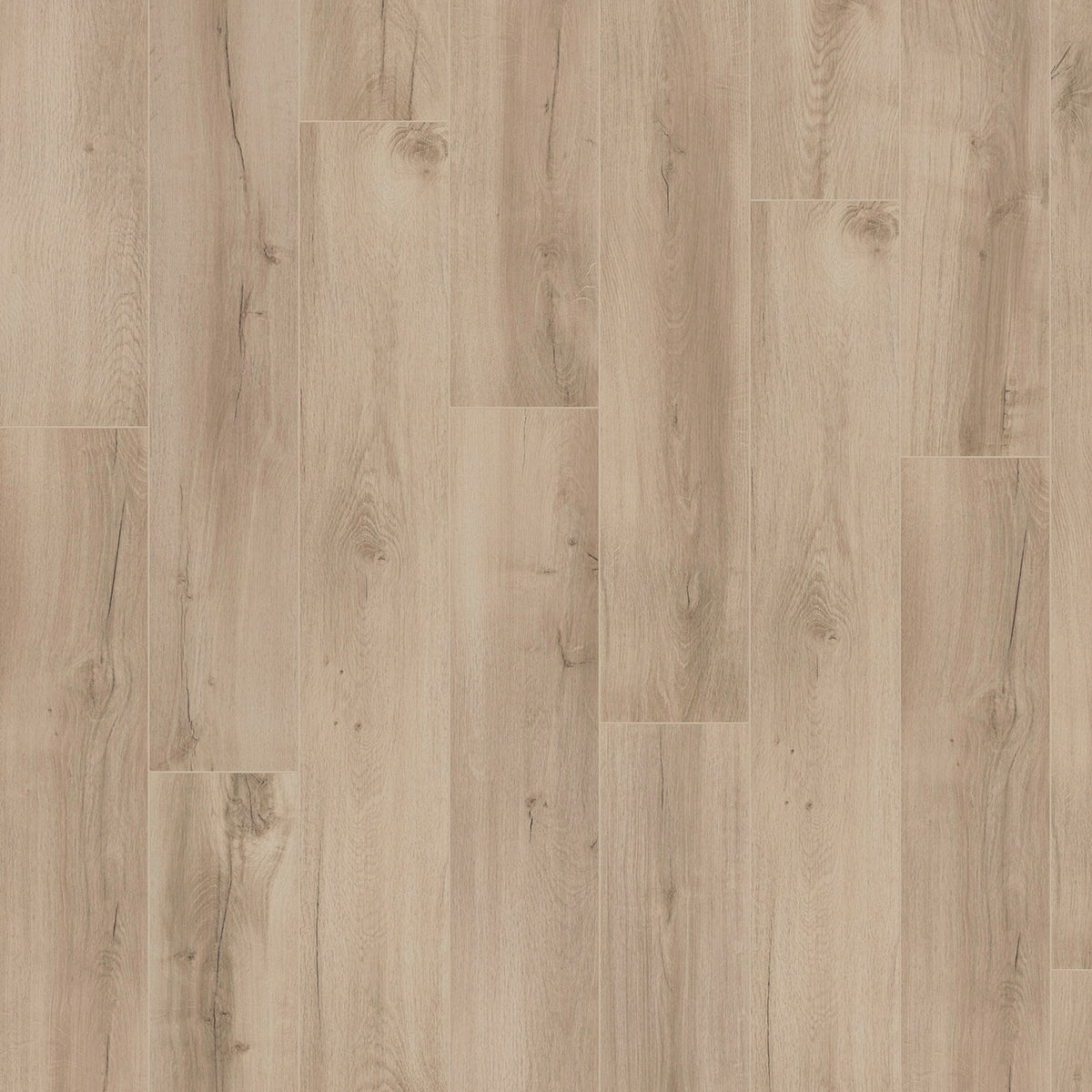 Hoomline Optima V4 Albany 4926 - Rechte Plank Laminaat