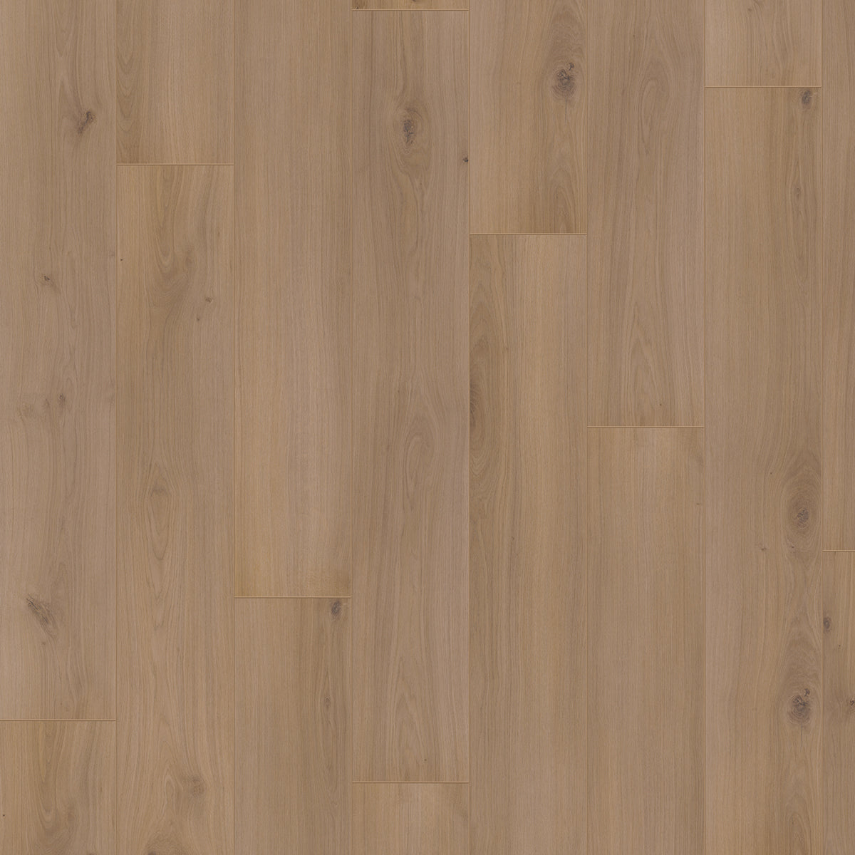 Hoomline Optima V4 Alice Springs 4937 - Rechte Plank Laminaat