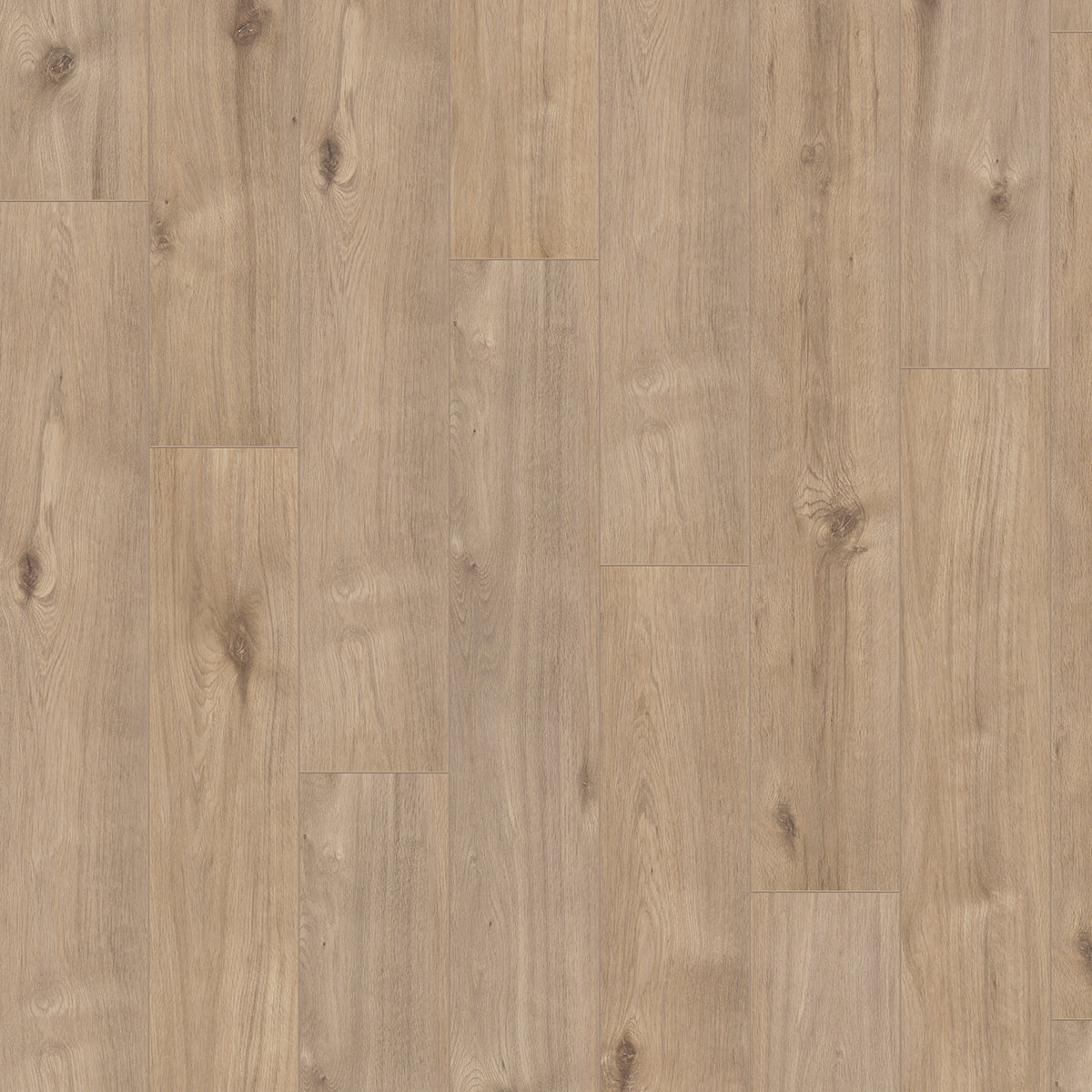 Hoomline Optima V4 Auckland 969 - Rechte Plank Laminaat