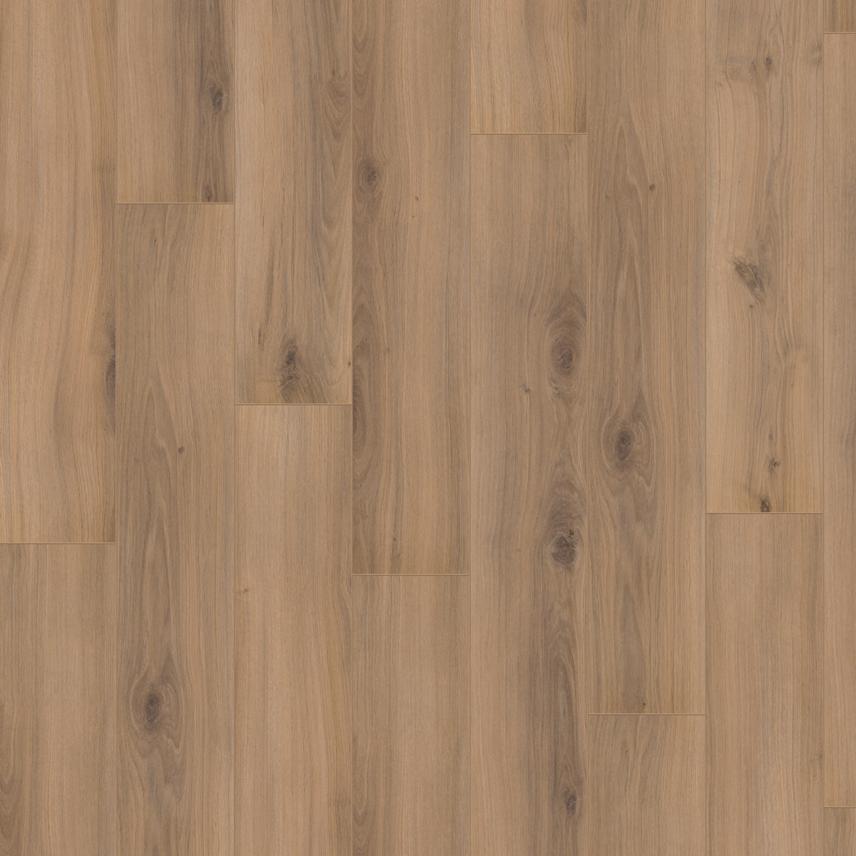 Hoomline Optima V4 Freemantle 4936 - Rechte Plank Laminaat