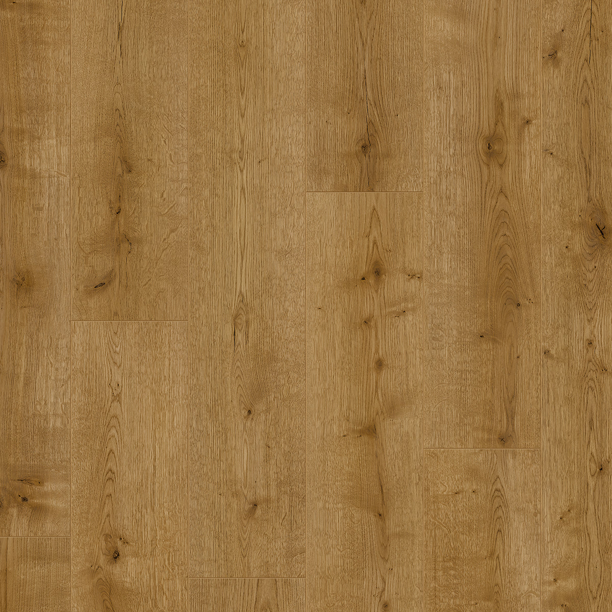 Hoomline Optima V4 NELSON 885 - Rechte Plank Laminaat