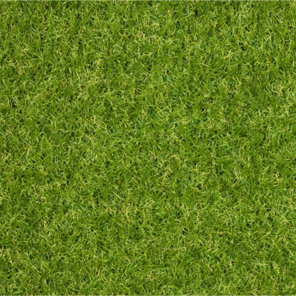 Kunstgras op Maat - Aan de Rol - 25mm Dik - 200cm Breed - Grastapijt - Stel je eigen maten samen