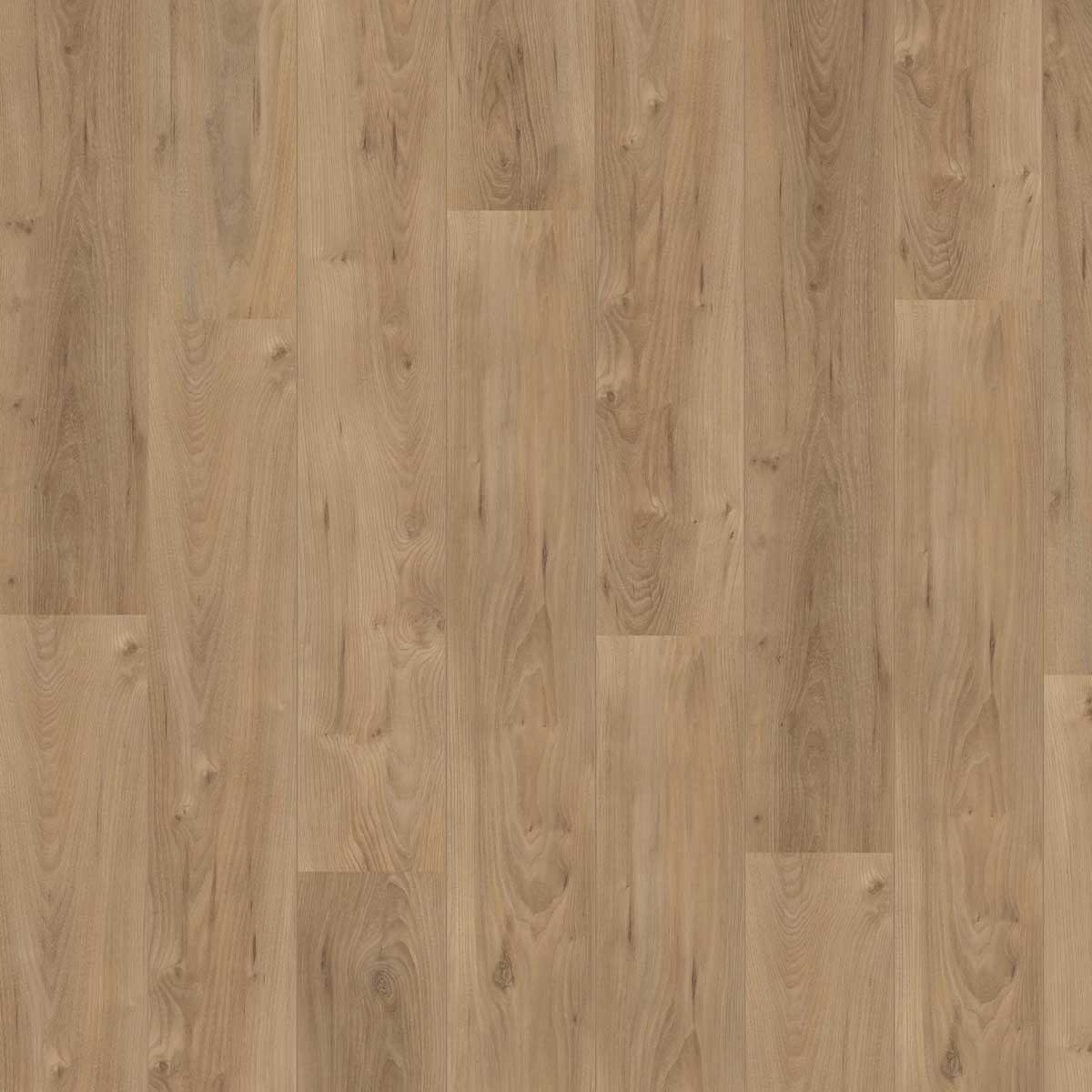 Hoomline Royal V2 - 755 Lazio - Rechte Plank Laminaat