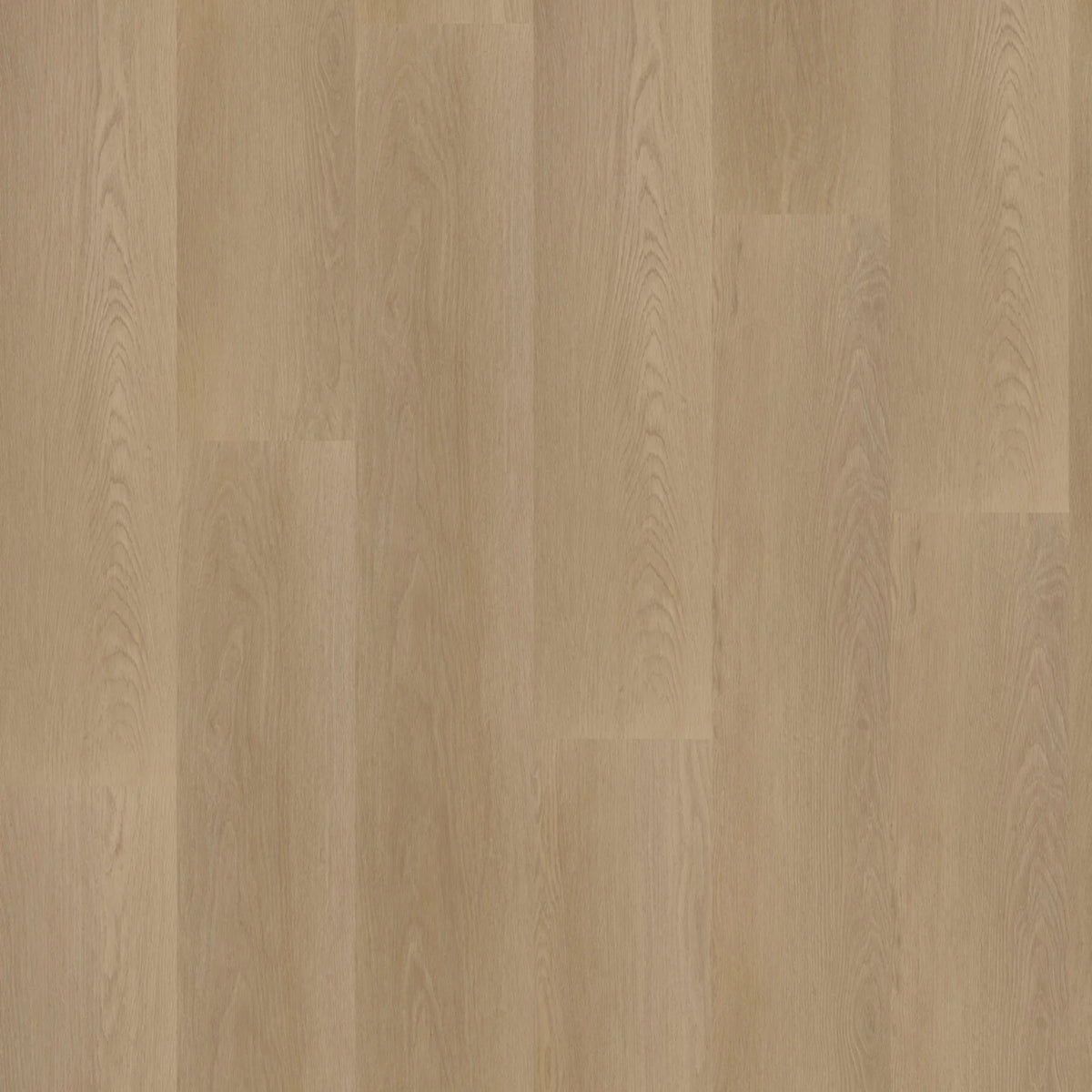 Hoomline Ambassador Dryback Georgia 6 - Plak PVC Vloer in Rechte Plank