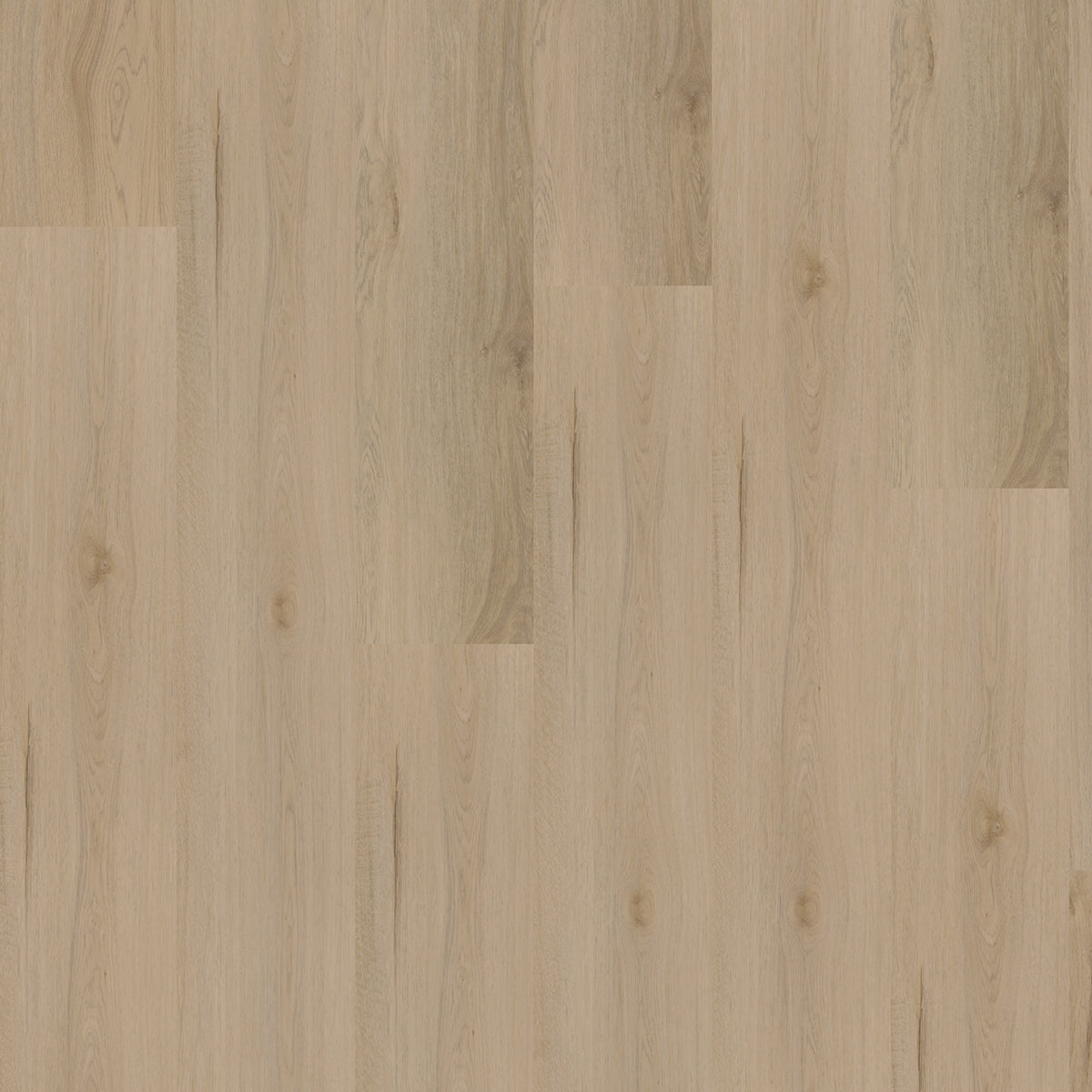 Hoomline Ambassador Dryback Maryland 31 - Plak PVC Vloer in Rechte Plank