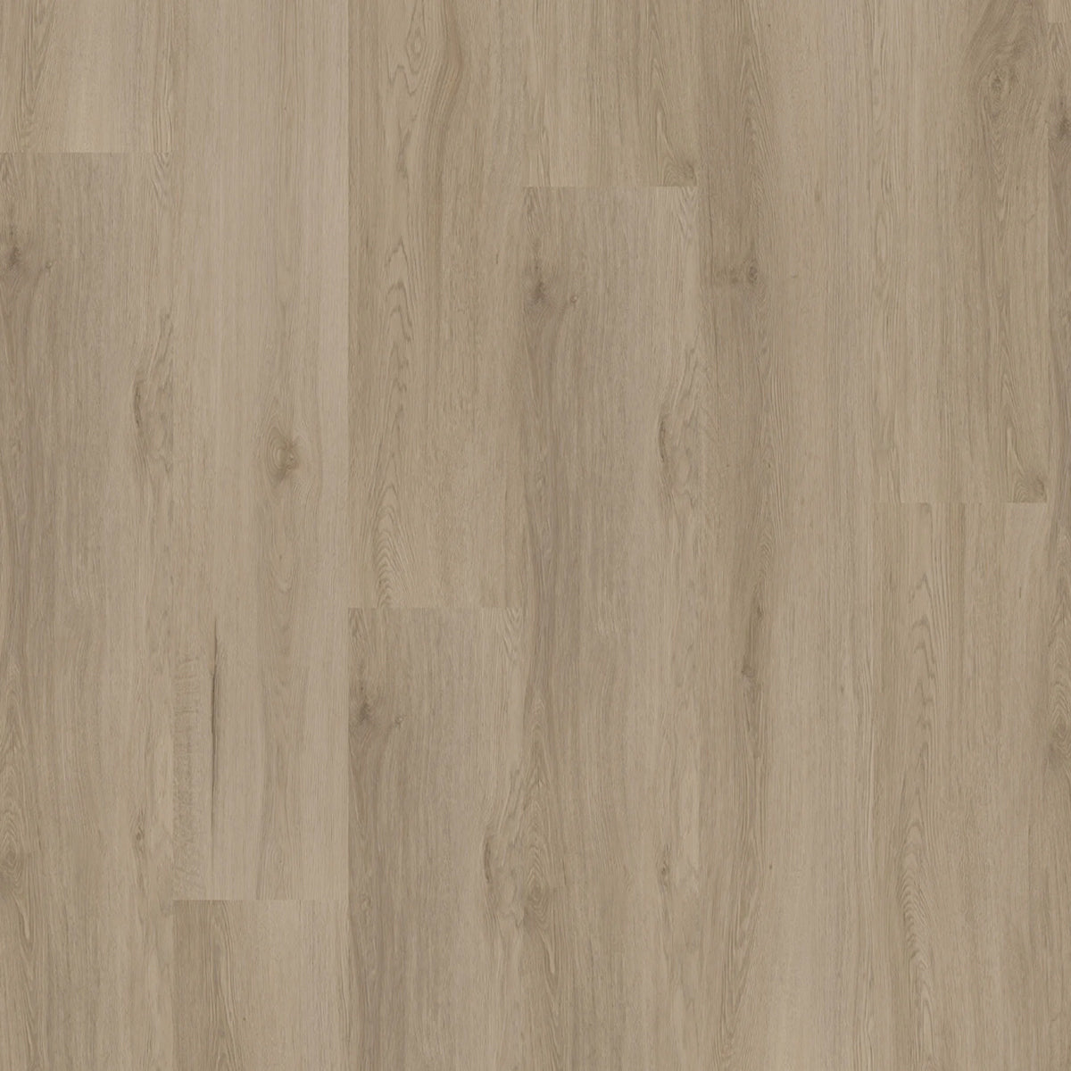 Hoomline Ambassador Dryback Missouri 63 - Plak PVC Vloer in Rechte Plank