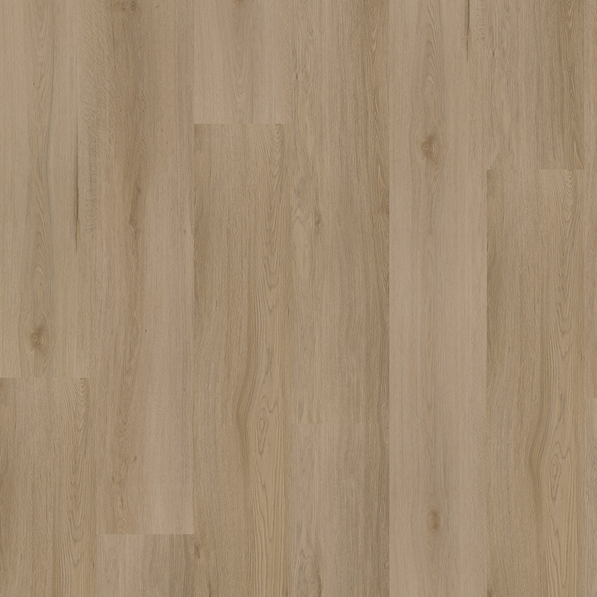 Hoomline Ambassador Dryback Montana 61 - Plak PVC Vloer in Rechte Plank