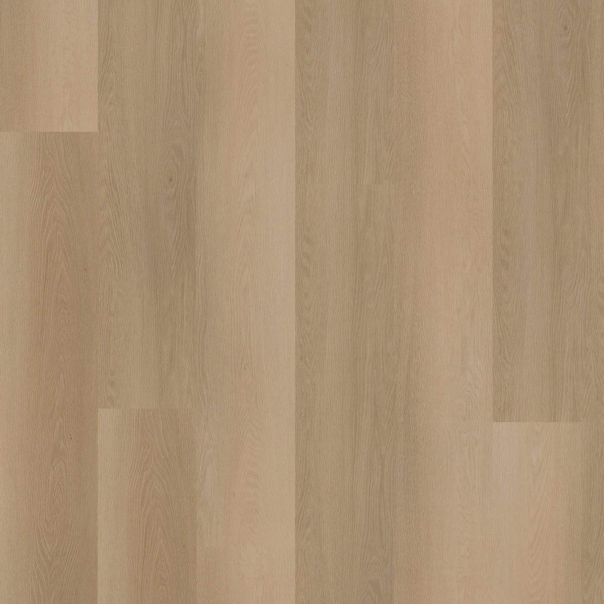 Hoomline Ambassador Dryback Vermont 12 - Plak PVC Vloer in Rechte Plank