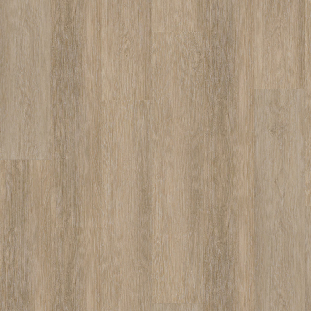 Hoomline Briljant Hyacint 20015 Dryback - Plak PVC Vloer in Rechte Plank