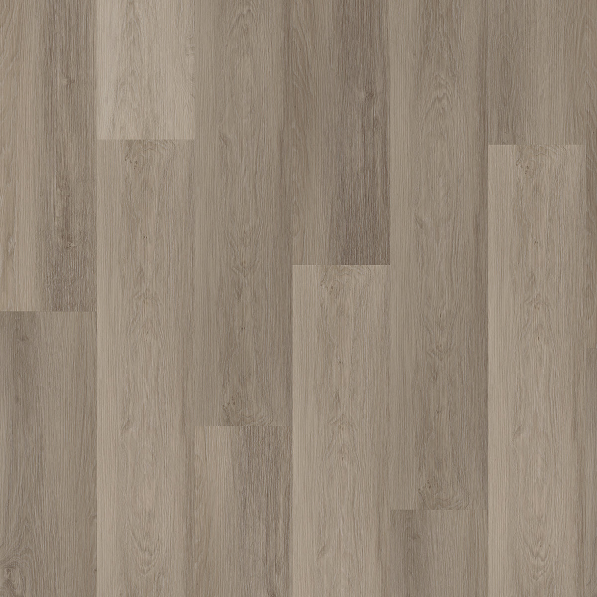 Hoomline Briljant Krokus 20014 Dryback - Plak PVC Vloer in Rechte Plank