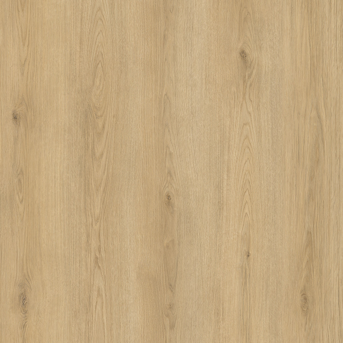 Hoomline City Rigid Click Haarlem 7008 - Klik PVC Vloer in Rechte Plank
