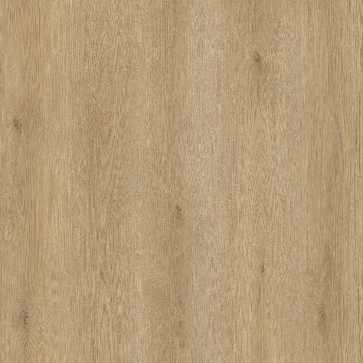 Hoomline City Rigid Click Utrecht 7001 - Klik PVC Vloer in Rechte Plank