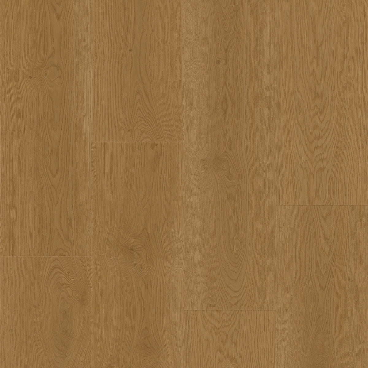 Hoomline Elegance Dryback Plank Lepelaar 51317 - Plak PVC Vloer in Rechte Plank