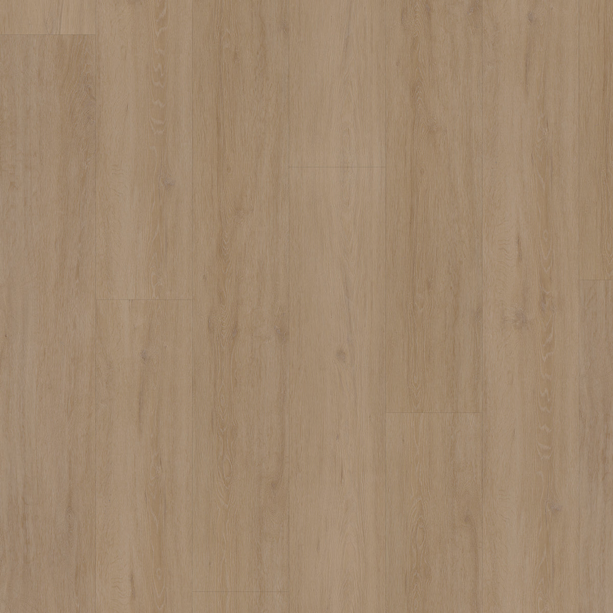 Hoomline Fusion Superior XL Gotham Oak Flax 1075129 - Click PVC Floor in Straight Plank
