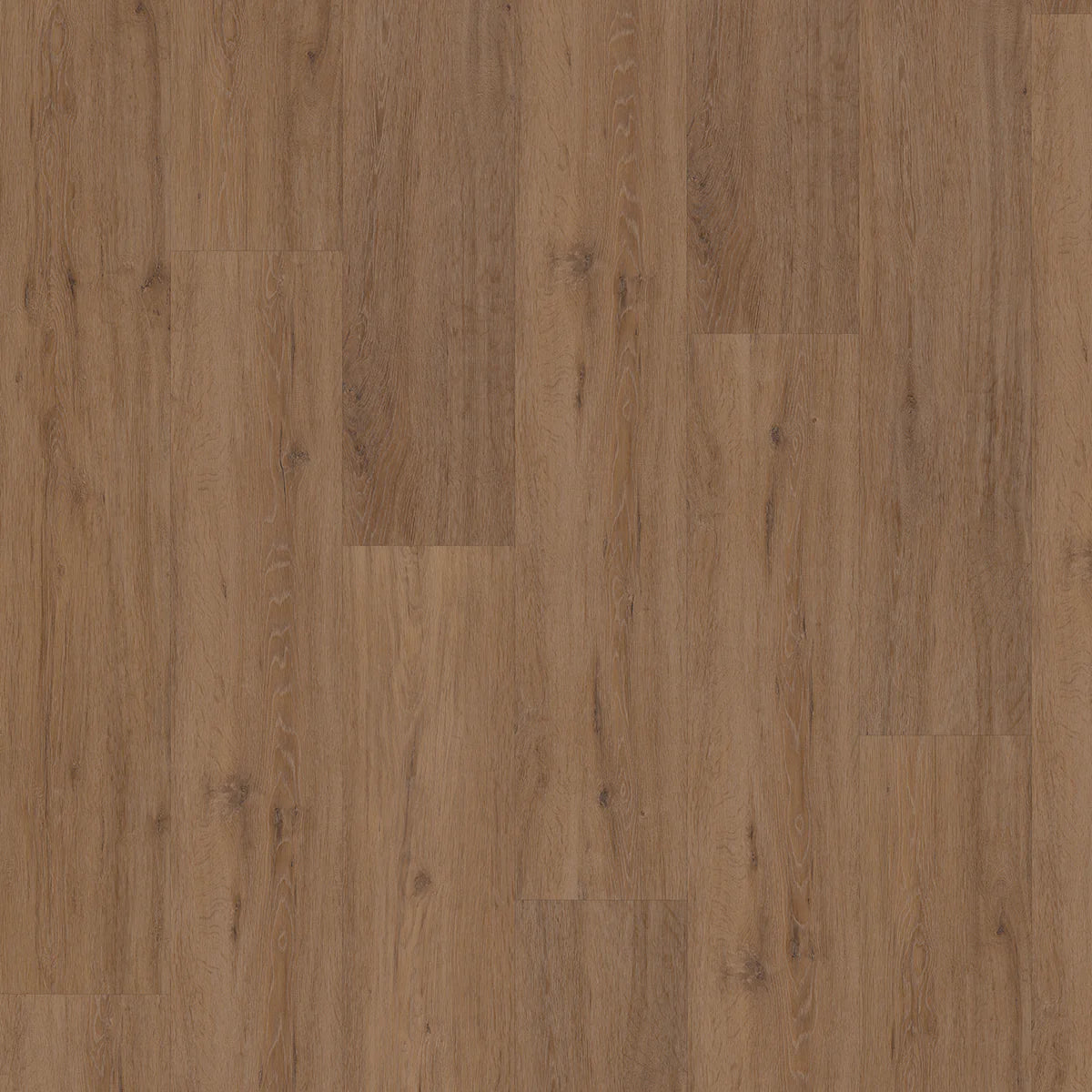 Hoomline Fusion Superior XL Gotham Oak Honey Dryback - Plak PVC Vloer in Rechte Plank