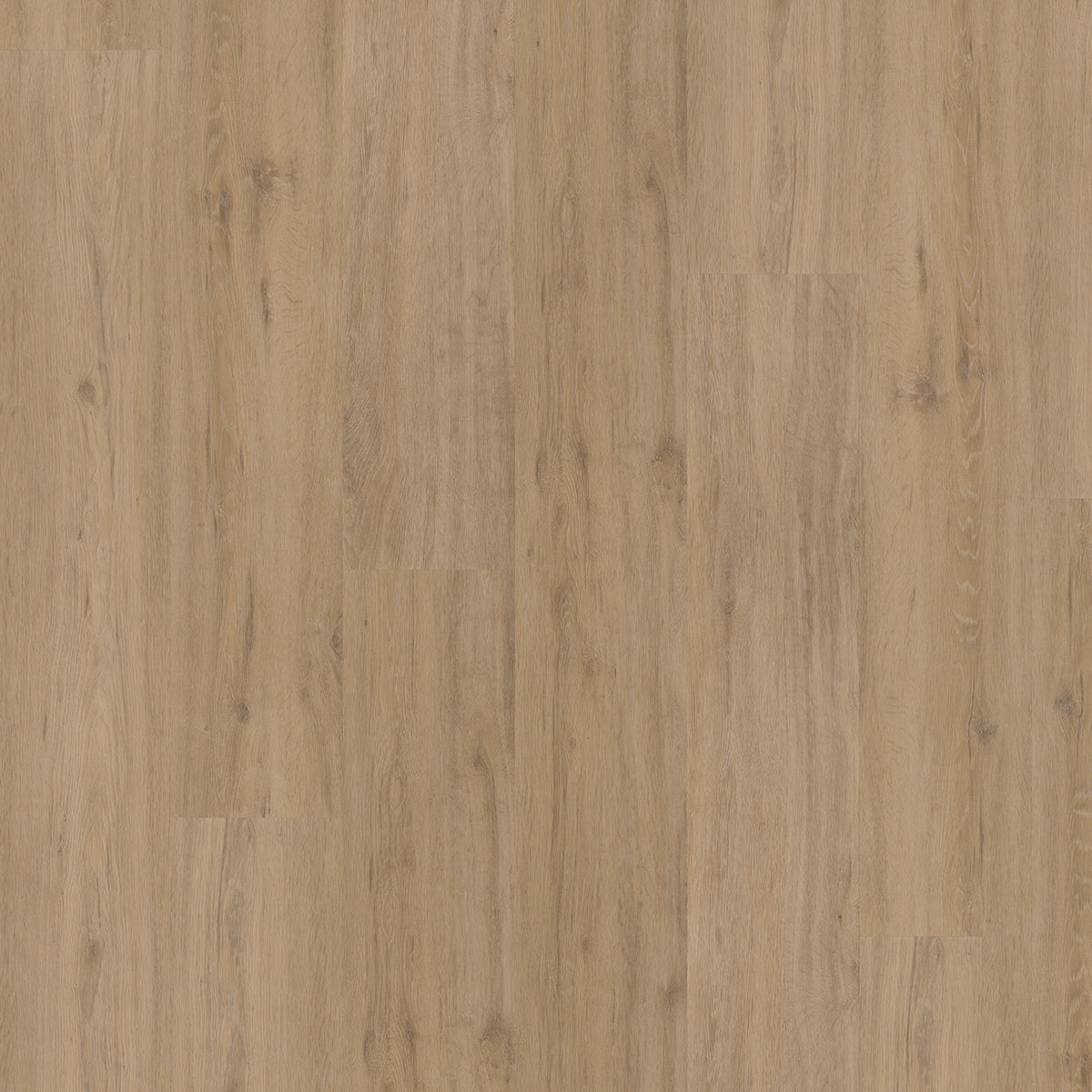 Hoomline Fusion Superior XL Gotham Oak Natural 107526 - Click PVC Floor in Straight Plank