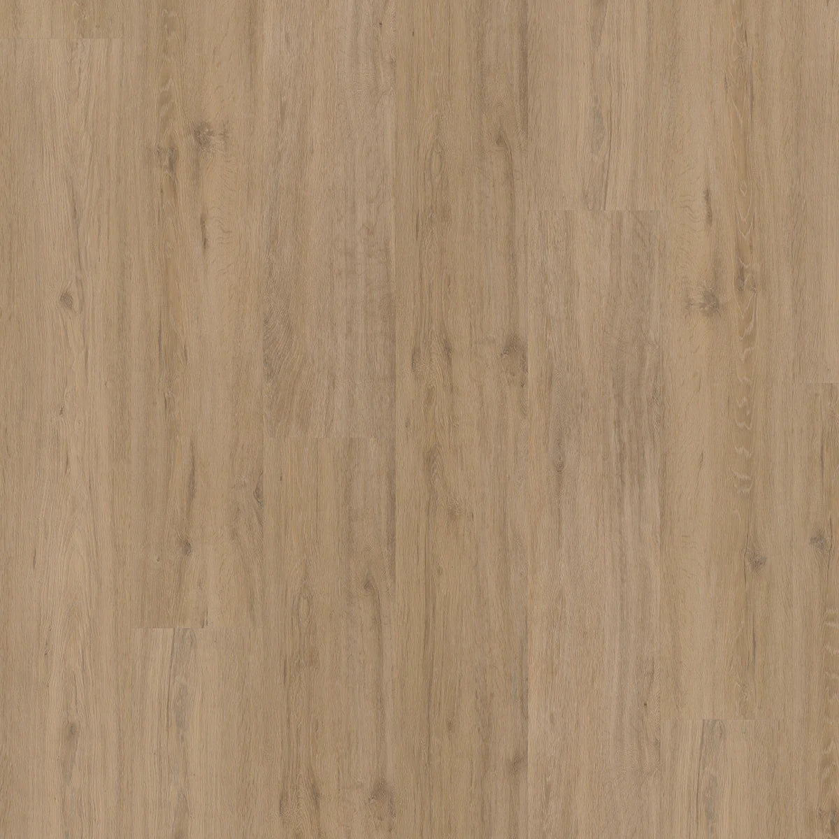 Hoomline Fusion Superior XL Gotham Oak Natural Dryback - Plak PVC Vloer in Rechte Plank