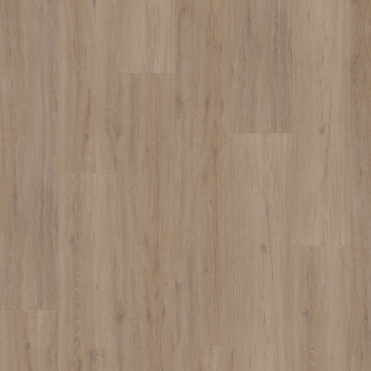 Hoomline Fusion Superior XL Gotham Oak Oiled 107513 - Click PVC Floor in Straight Plank