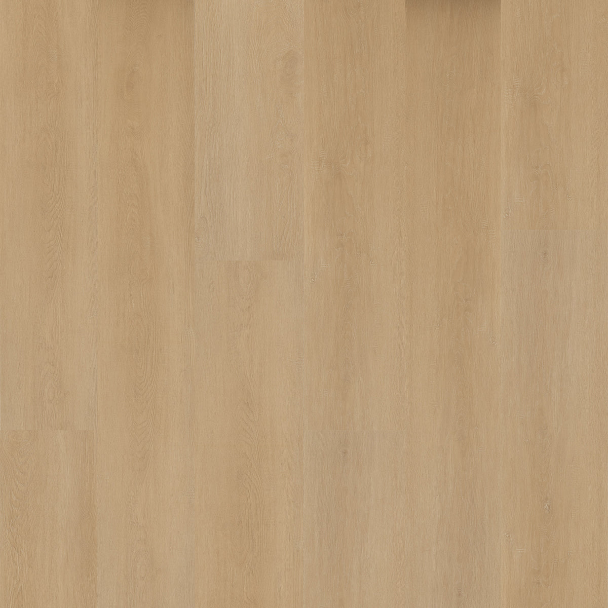 Hoomline Prestige Dryback plank Cannes 5052 - Plak PVC Vloer in Rechte Plank
